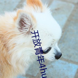九游会登录j9入口 - 中国官方网站 | 真人游戏第一品牌