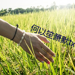 金年会(中国)官方网站