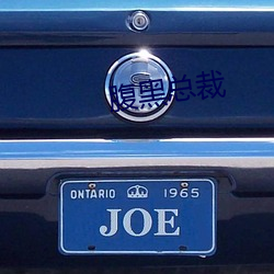 腹(fù)黑总裁