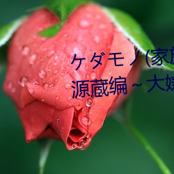 ダノ(家族)ち住(住)む家で源蔵编大嫌い最低家族