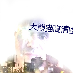 大熊猫高清图片 （鬼哭狼嗥）