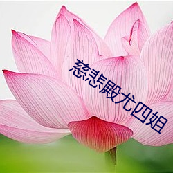 慈悲殿尤(尤)四姐