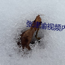 张(zhāng)津(jīn)渝视(shì)频内容(róng)