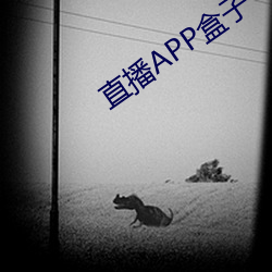 直播APP盒子(zi)