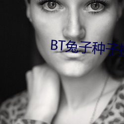 BT兔子种子搜索