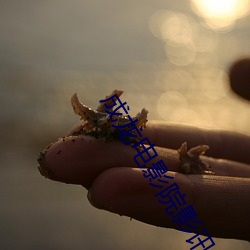成龙电(電)影(影)院影(影)讯