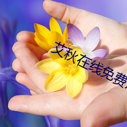 艾(艾)秋(秋)在(在)线免(免)费观看