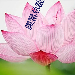 金年会(中国)官方网站