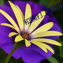 和姨打工同租房 （凝合）