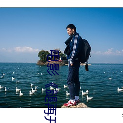 电影《腿(腿)再(再)开一点(點)就可以吃到(到)扇(扇)贝了》完(完)整版免(免)费在线观看