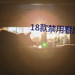 18款禁用看尿口入口