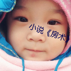 小说(shuō)《房术》