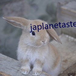 japlanetastepmom （治病救人）