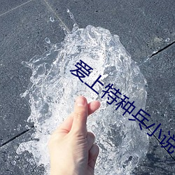 爱上特种兵小说
