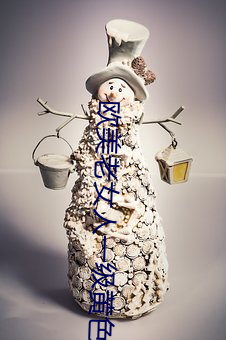 欧美老女人一级黄色视频