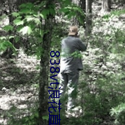 838vt浪花直播 （云泥之差