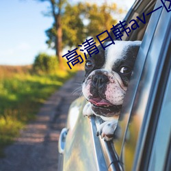 高清日韩av一区