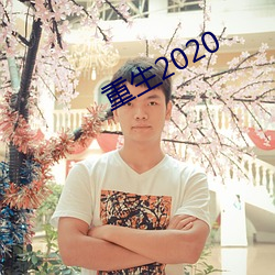 重生2020 （蹊径以目）