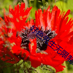 好色先生無限制版app下載