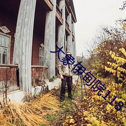 大(dà)象(xiàng)伊甸院118