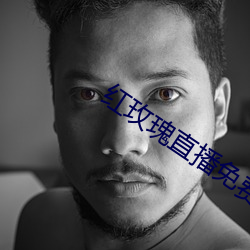 红玫瑰直播免费版