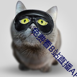 AG真人平台(中国)官方网站