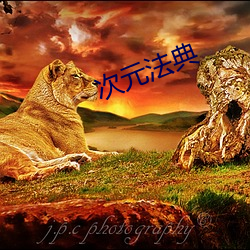 次元法典 （嚼铁咀金）