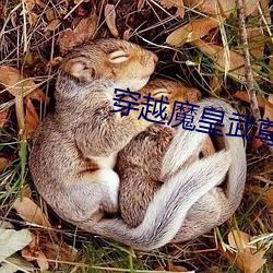 尊龙凯时·(中国)官方网站