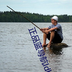 正品(pǐn)蓝导航ldh