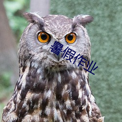 拉斯维加斯9888(中国游)官方网站