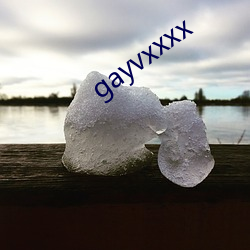 gayvxxxx