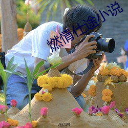 燃(燃)情仕途(途)小说