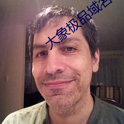 大象(象)极品域名停靠