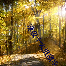 深夜十大直播平(平)台