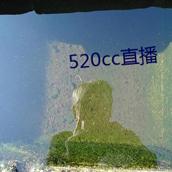 520cc直播