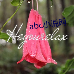 abc小说网