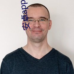 安卓app快速开(kāi)发平台