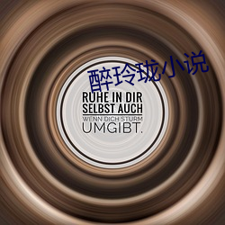 醉玲珑小說