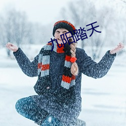 九陽踏天