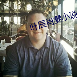 叶辰肖雯小说