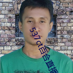 537ct百合直播
