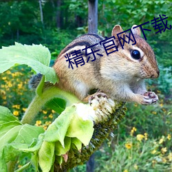金年会(中国)官方网站
