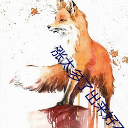 涨太多了出来好不好老板