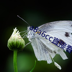 918博天堂·(中国)手机版客户端