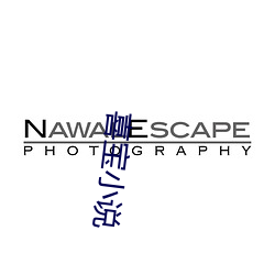 喜宝小说