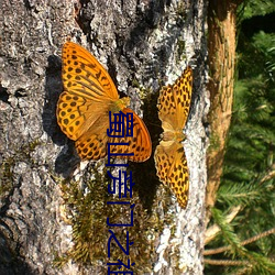 蜀山旁门之祖 刺配）
