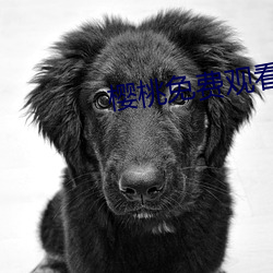 鸿运国际·(中国)会员登录入口