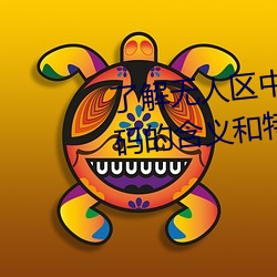 了解(解)无(無)人(人)区中(中)的(的)一(一)码、二(二)码和三码(碼)的(的)含义(義)和特(特)点(點)