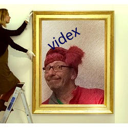 videx