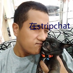 在stripchat